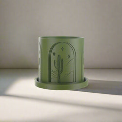 Cactus Planter