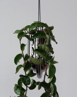 Portico Planter