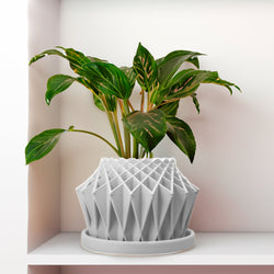 Galaxy Groove Plant Pot