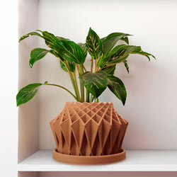 Galaxy Groove Plant Pot