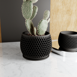 Honeycomb Planter