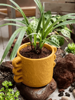 Artisan Loop Handle Cement Planter