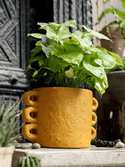 Artisan Loop Handle Cement Planter