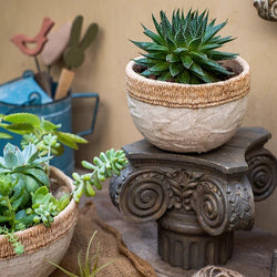 Rattan Pattern Edge Cement Planter