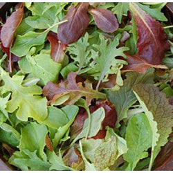 Mild Mesclun Mix Lettuce Seeds