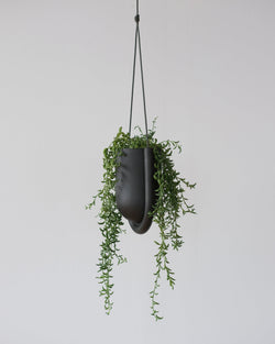 Portico Planter