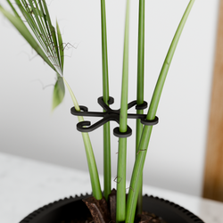 Climbing Plant Stem Support Stakes