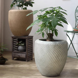 Contemporary Swirl Planter