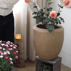 Contemporary Swirl Planter