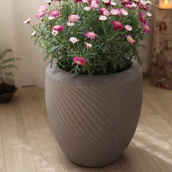 Contemporary Swirl Planter