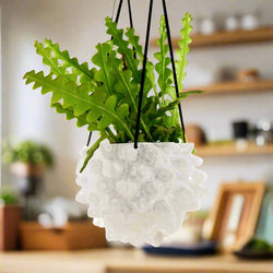 The Creature Orb Hanging Planter Pot With Drainage