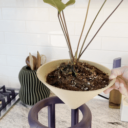 Conduit Plant Stand with Planter & Catch