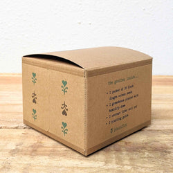 Coleus Seed Kit: Rainbow or Black Dragon Coleus