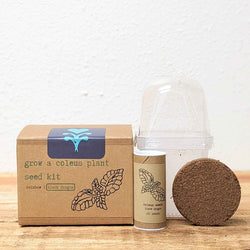 Coleus Seed Kit: Rainbow or Black Dragon Coleus