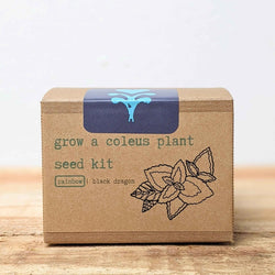 Coleus Seed Kit: Rainbow or Black Dragon Coleus