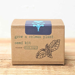 Coleus Seed Kit: Rainbow or Black Dragon Coleus