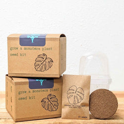 Monstera Seed Kit: Grow a Swiss Cheese Plant