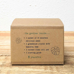 Monstera Seed Kit: Grow a Swiss Cheese Plant
