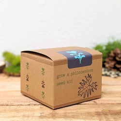 Philodendron Seed Kit: Grow a Split Leaf Philodendron