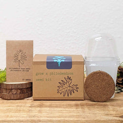 Philodendron Seed Kit: Grow a Split Leaf Philodendron