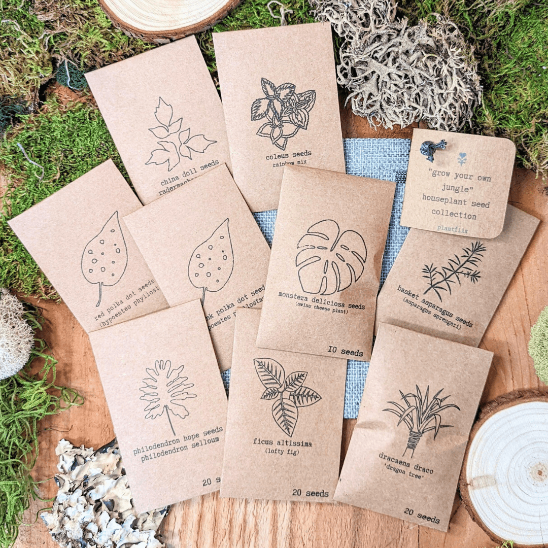 Grow Your Own Jungle: Tropical Houseplant Seed Collection