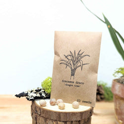 Grow Your Own Jungle: Tropical Houseplant Seed Collection