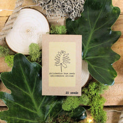 Grow Your Own Jungle: Tropical Houseplant Seed Collection