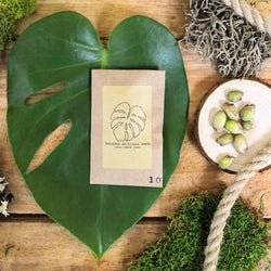 Grow Your Own Jungle: Tropical Houseplant Seed Collection