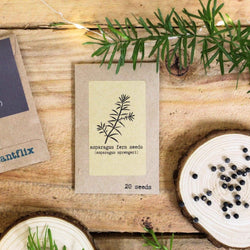 Grow Your Own Jungle: Tropical Houseplant Seed Collection