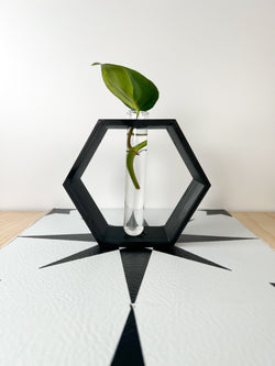 Hexagon Propagation Station