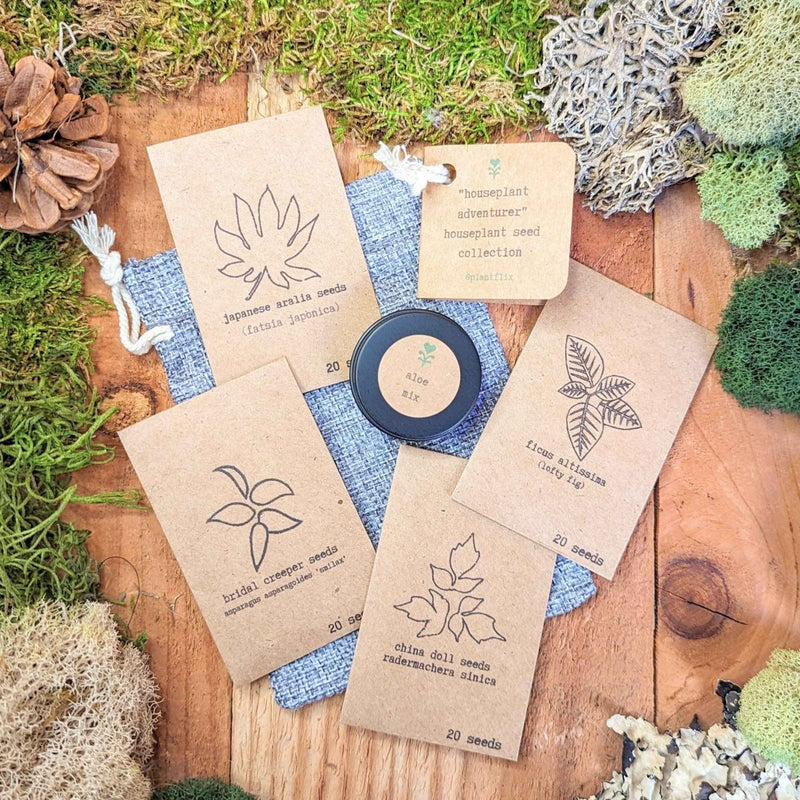 Houseplant Adventurer Seed Collection: Next-Level Seeds