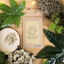 Houseplant Adventurer Seed Collection: Next-Level Seeds
