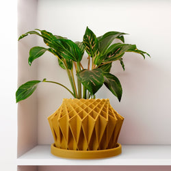 Galaxy Groove Plant Pot
