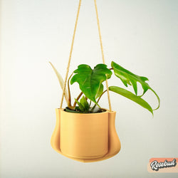 Hanging Planter - The Elysian