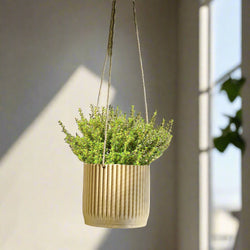 Mid Century Ribbed Hanging Plant Pots
