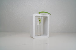 Rectangle Propagation Station