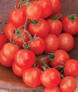 Sweetie Cherry Tomato Seeds
