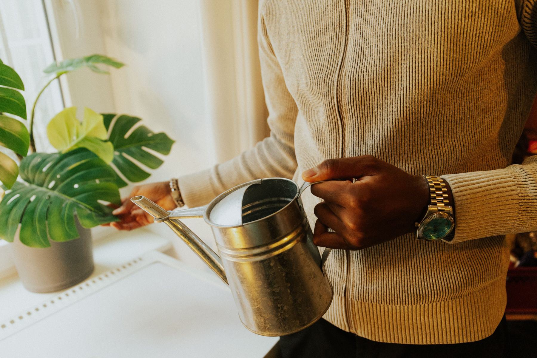 How Often to Water a Monstera (By Season, Not by Sunday)