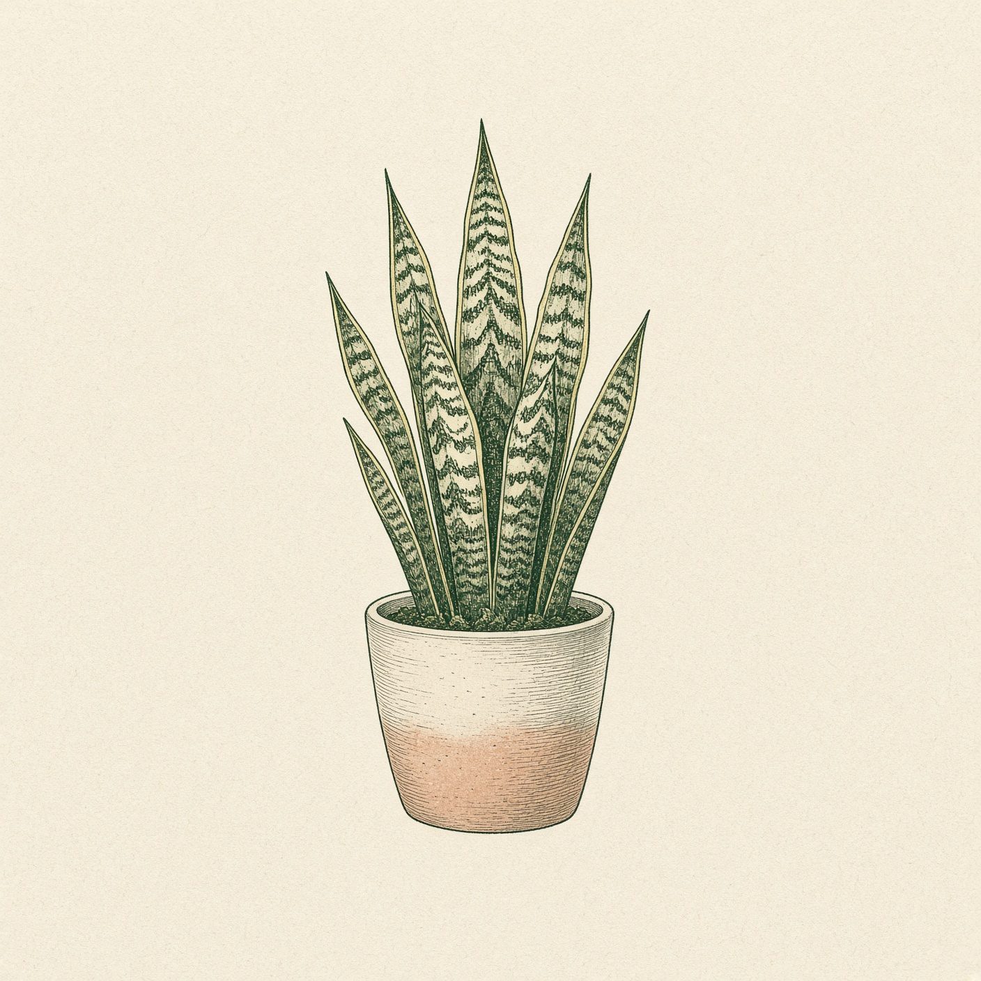 Snake Plant Care Guide
