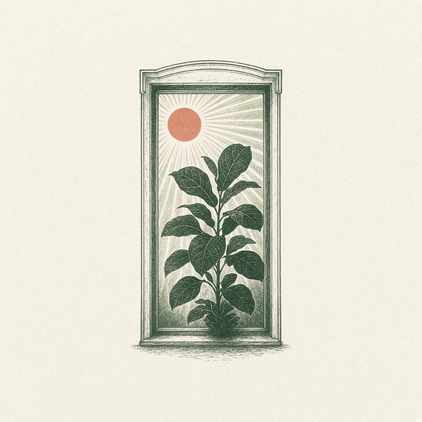 Botanical line drawing of window light exposure rays and Daily Light Integral meter